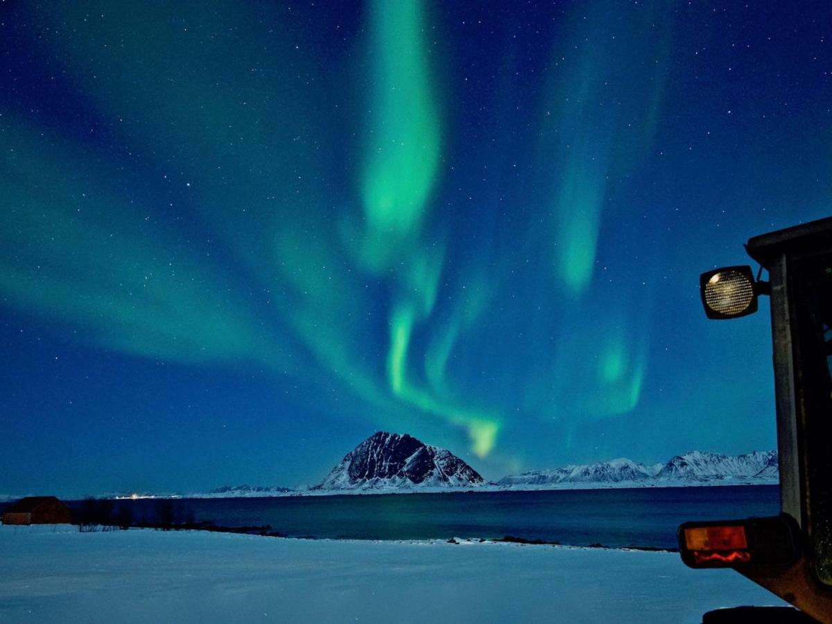 Steinbakk - Vestresand Lofoten Bostad 外观 照片
